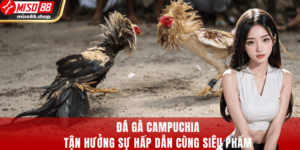 Đá Gà Campuchia - Tận Hưởng Sự Hấp Dẫn Cùng Siêu Phẩm
