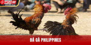 da-ga-philippines-moi-nhat.png